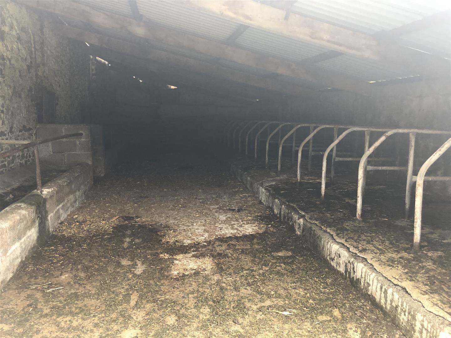 YOUNGSTOCK SHED